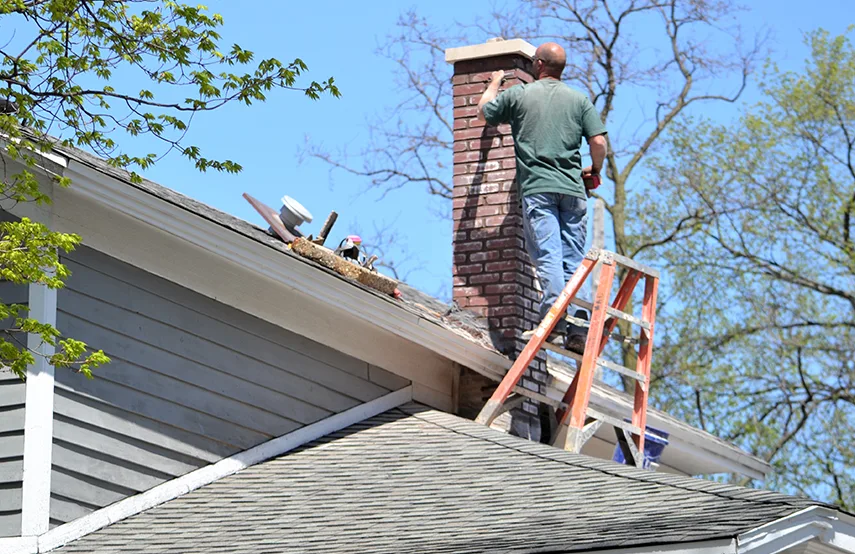 Chimney & Fireplace Inspections Services in Crofton, MD